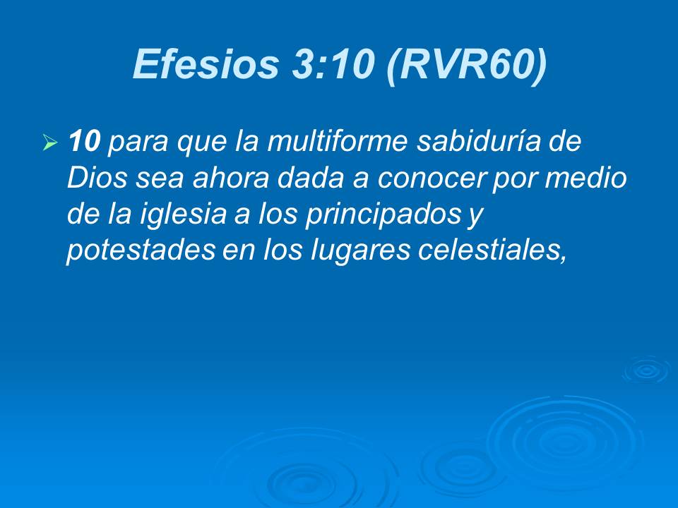 Diapositiva11