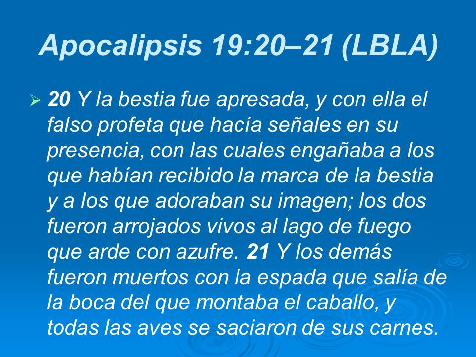Diapositiva13