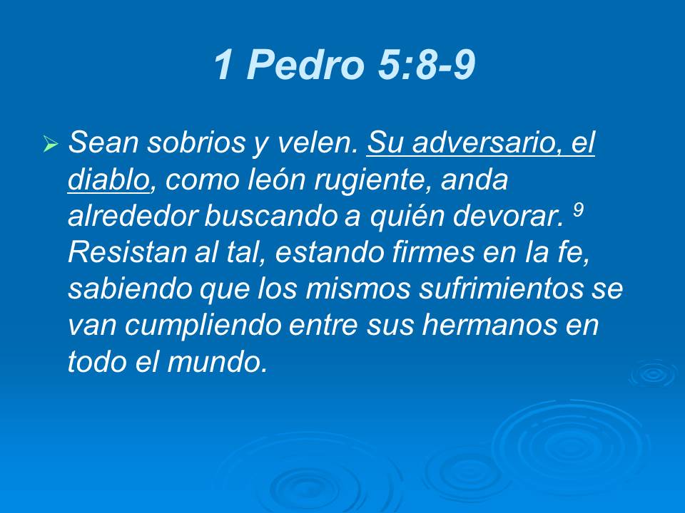 Diapositiva14