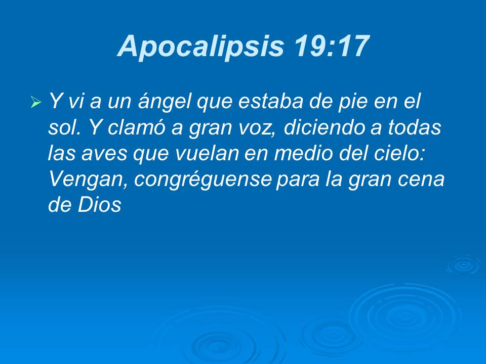 Diapositiva14