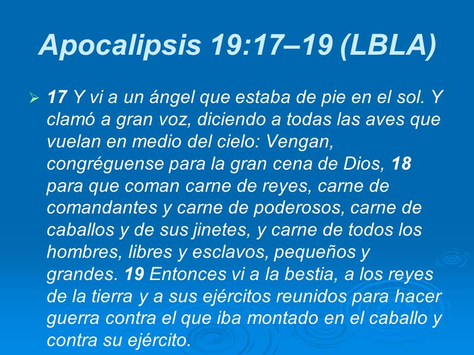 Diapositiva14