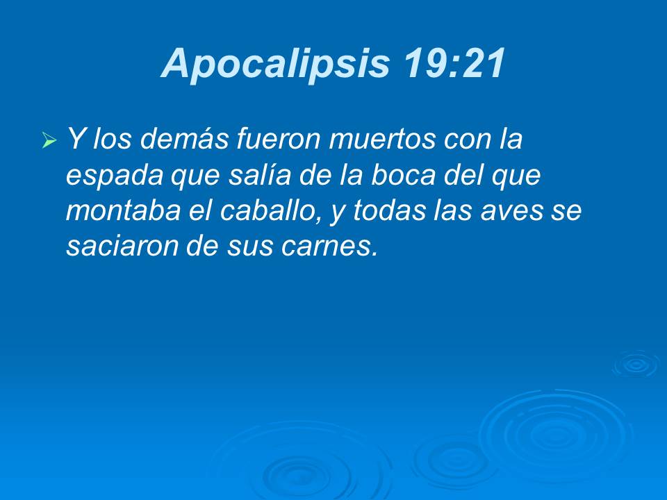 Diapositiva19
