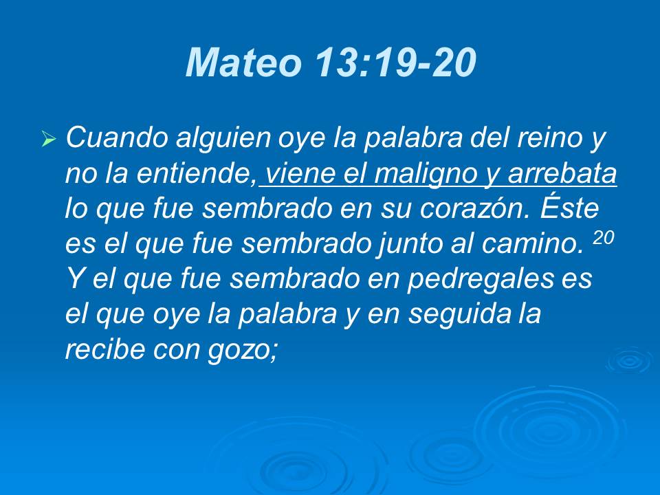 Diapositiva24