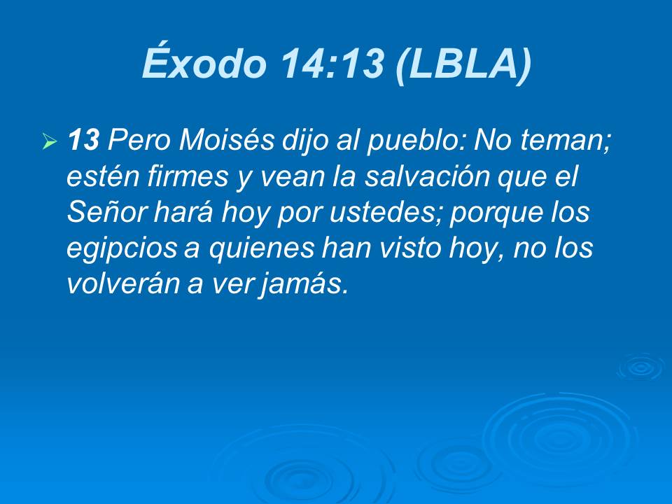 Diapositiva11