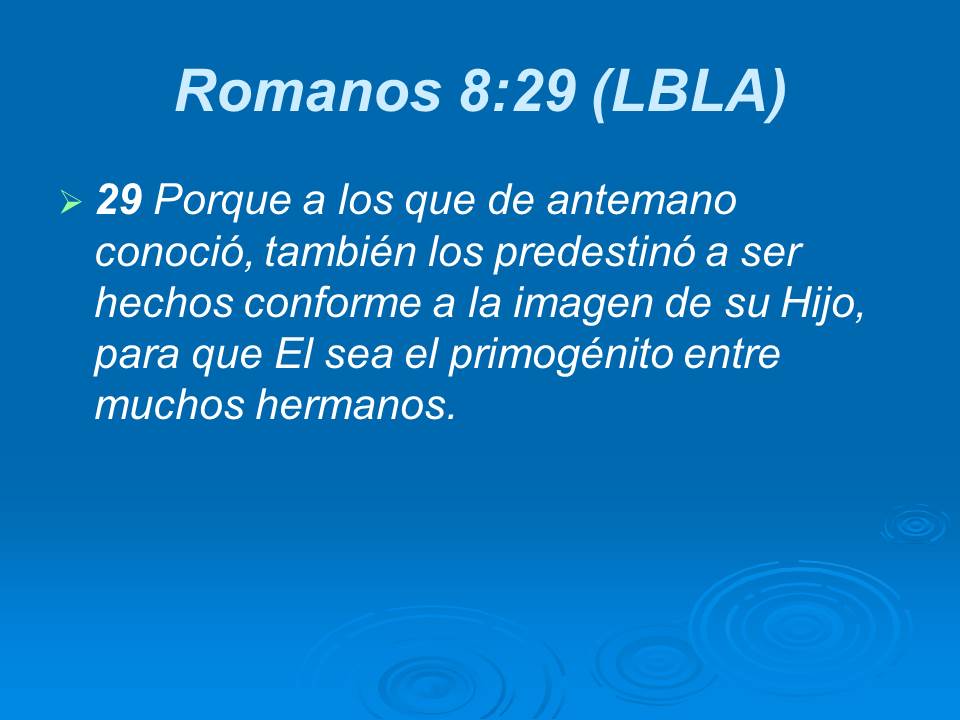 Diapositiva7