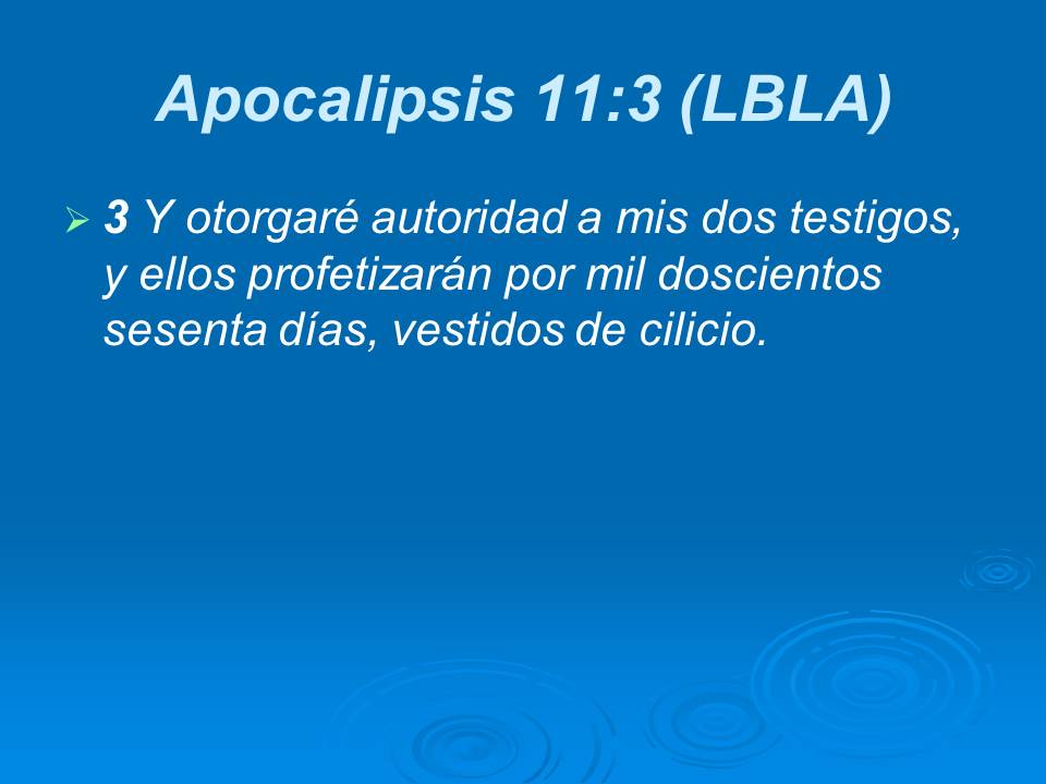 Diapositiva8