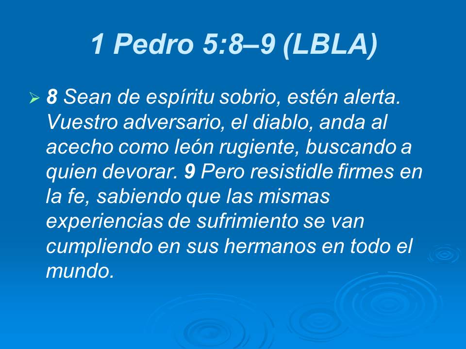 Diapositiva5