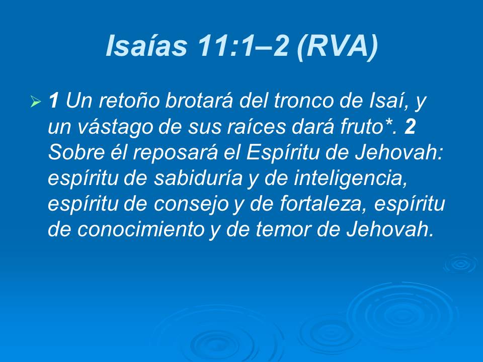 Diapositiva11