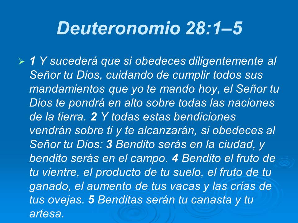 Diapositiva16