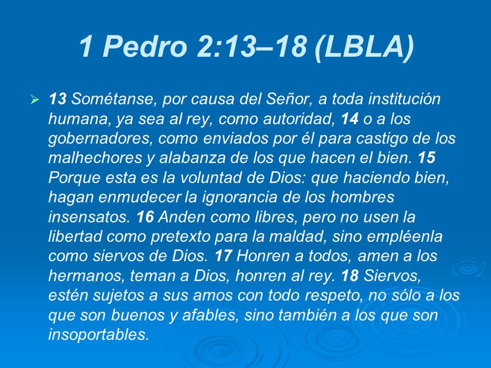 Diapositiva16