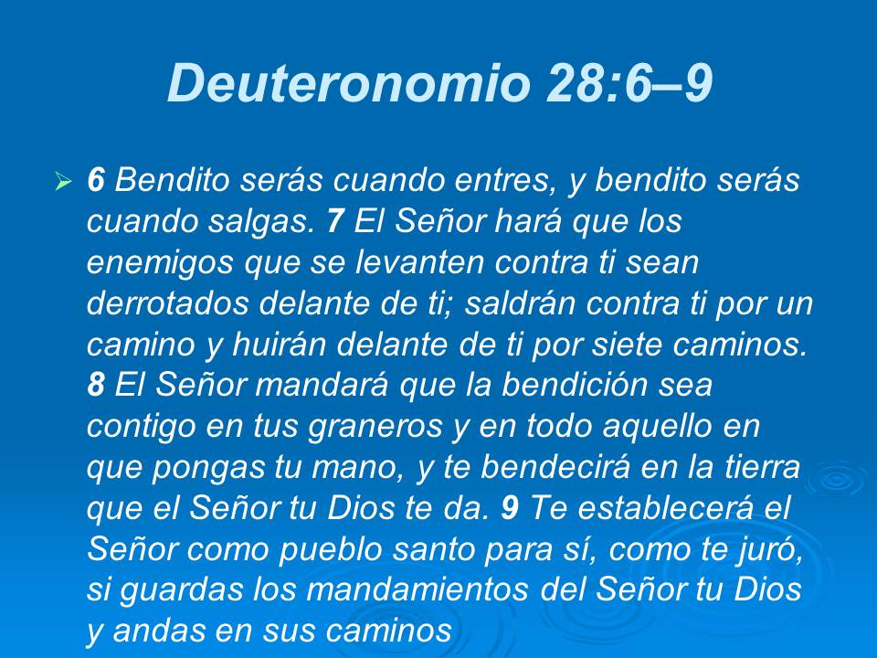 Diapositiva17