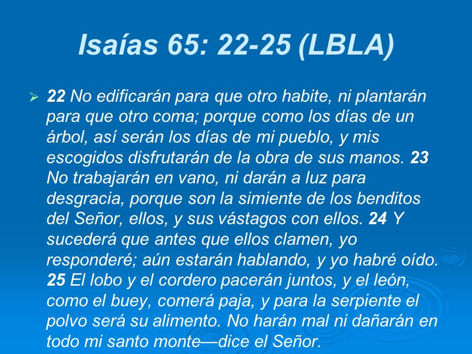 Diapositiva23