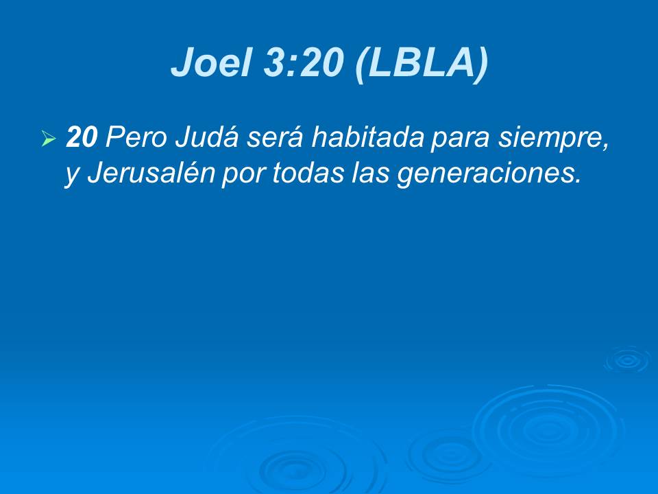 Diapositiva13