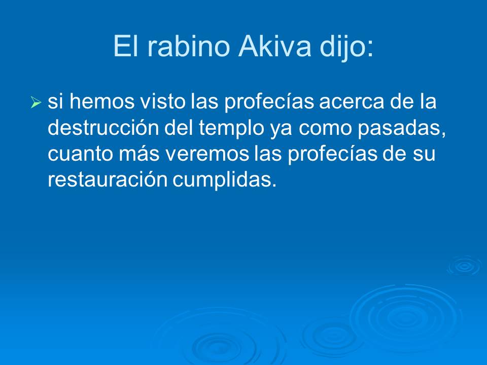 Diapositiva13