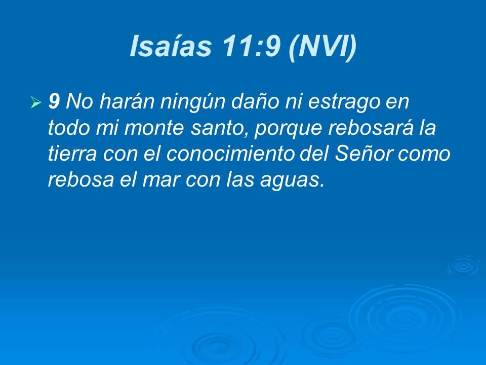 Diapositiva14