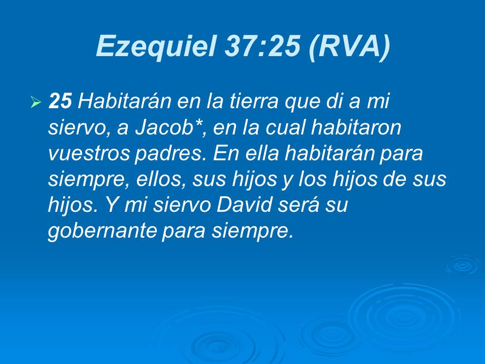 Diapositiva16