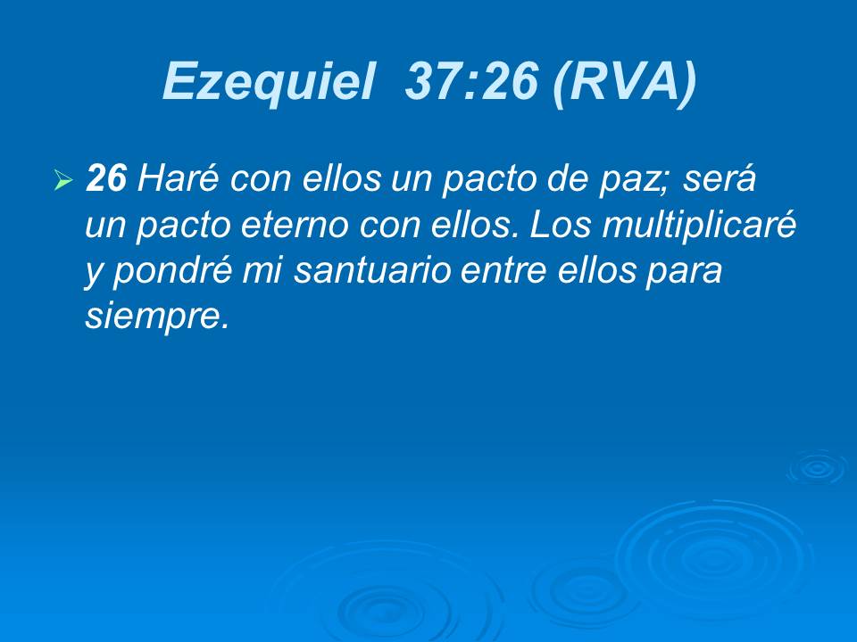 Diapositiva17