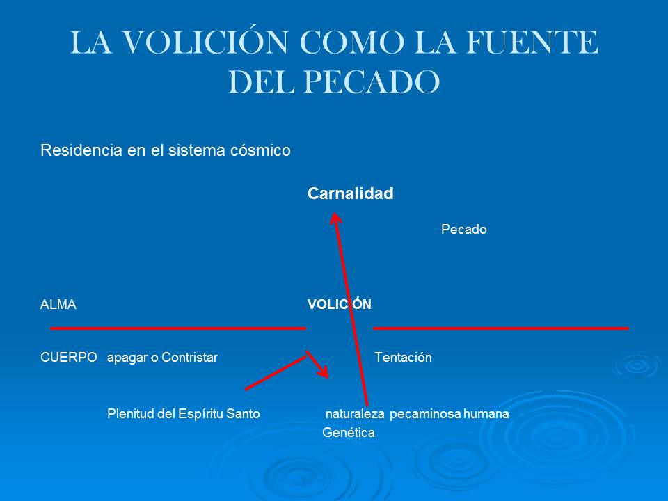 Diapositiva4