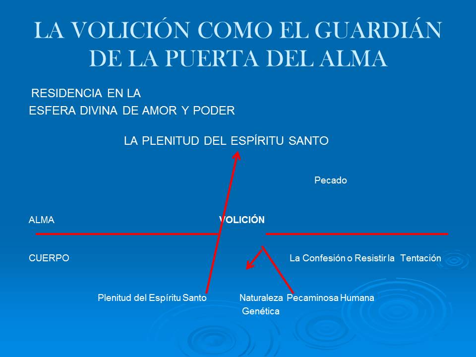 Diapositiva6