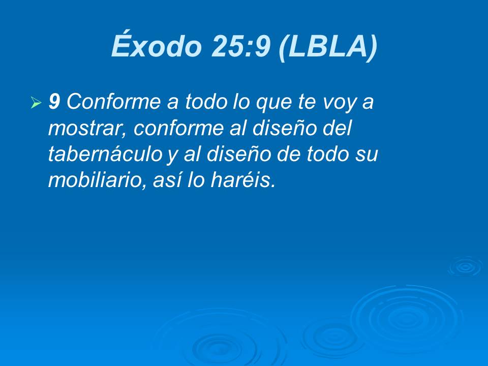 Diapositiva10