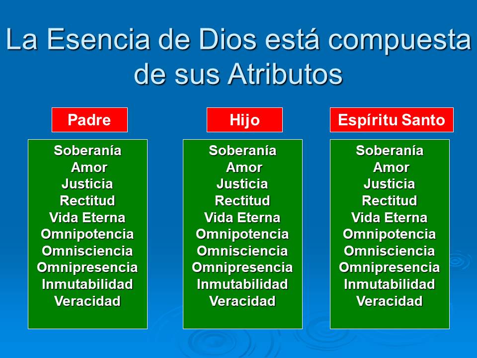 Diapositiva13