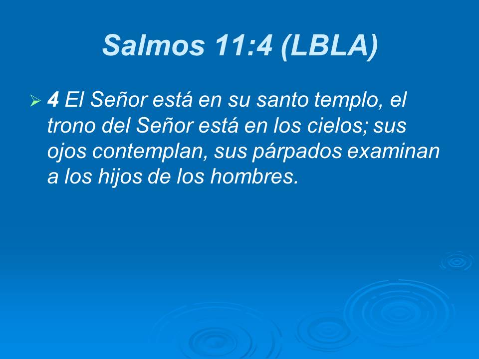 Diapositiva14