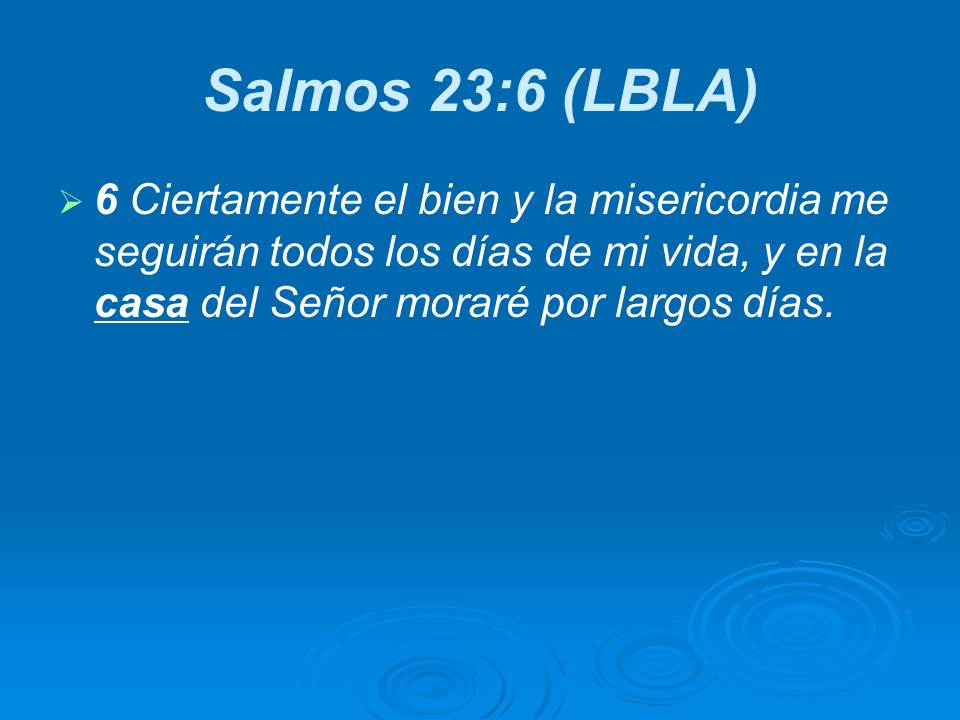 Diapositiva15