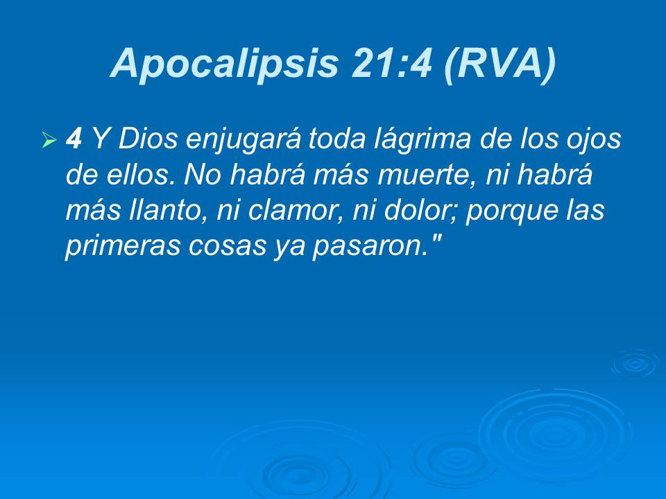 Diapositiva6