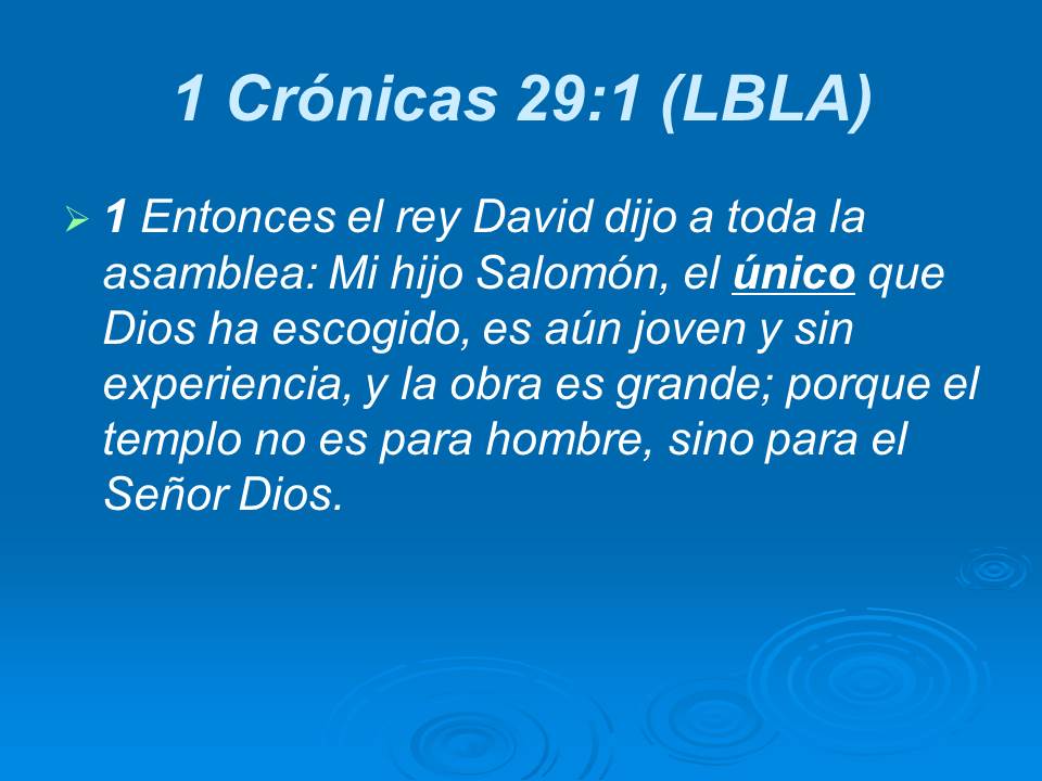Diapositiva27