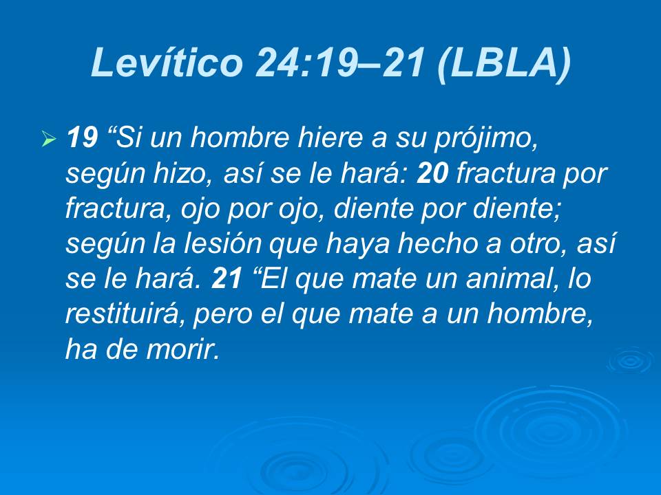Diapositiva25