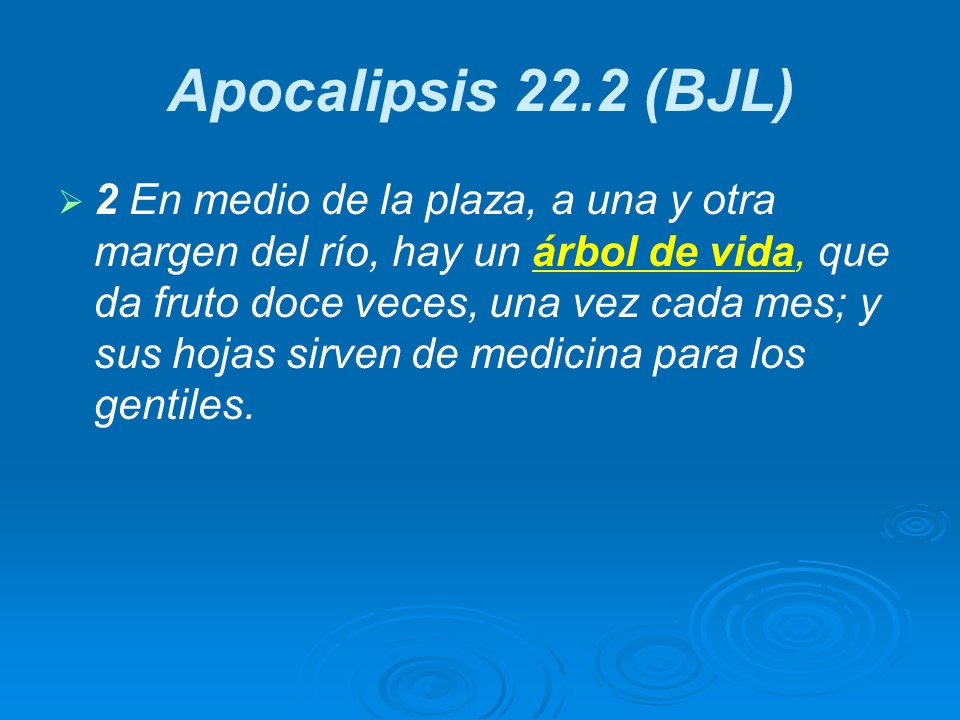 Slide15