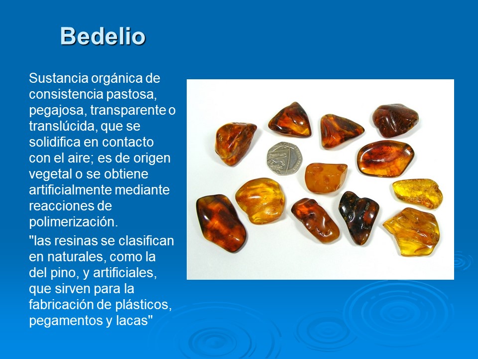 Slide19