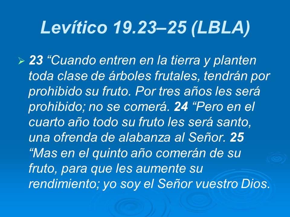 Slide24