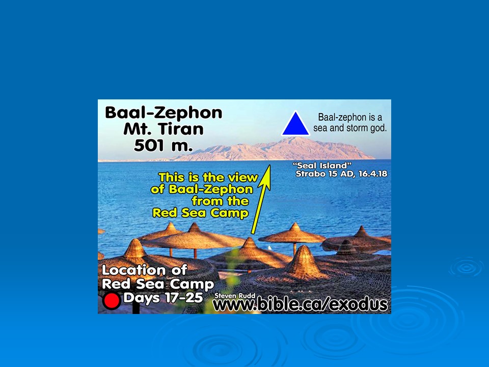 Slide8