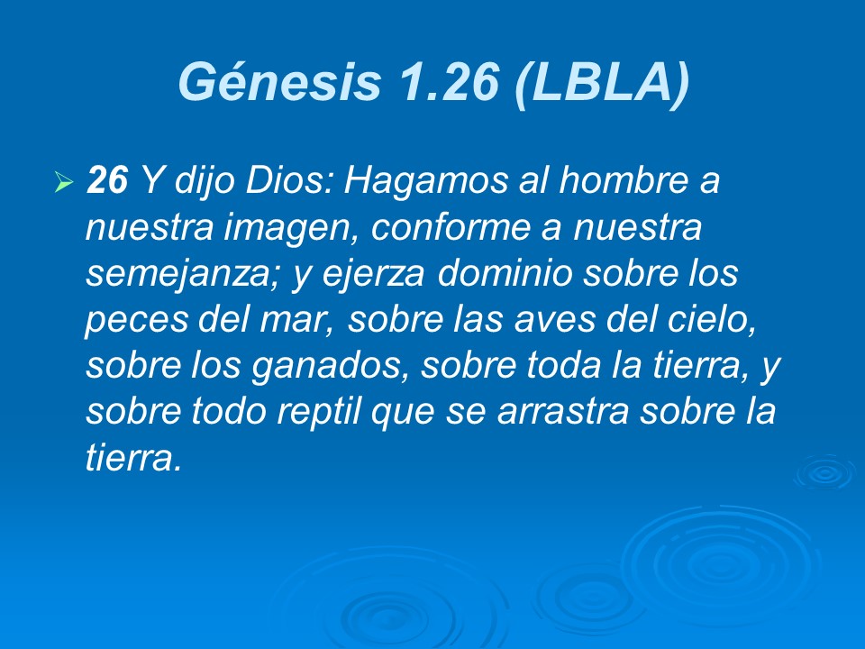 Slide13