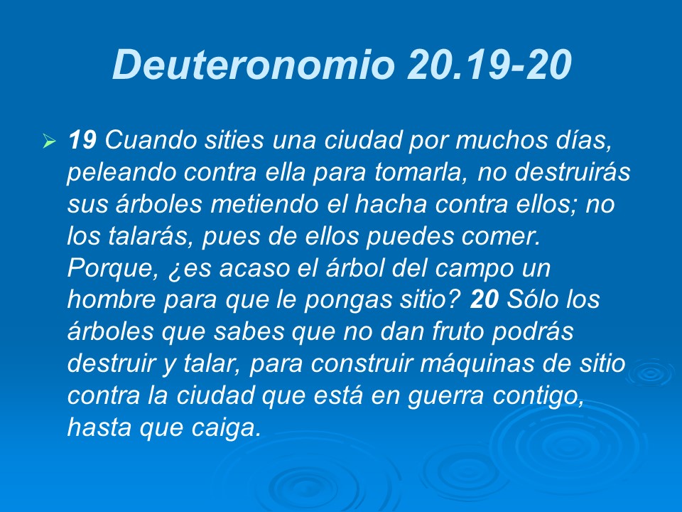 Slide13