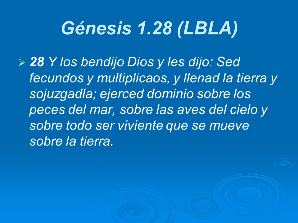 Slide14