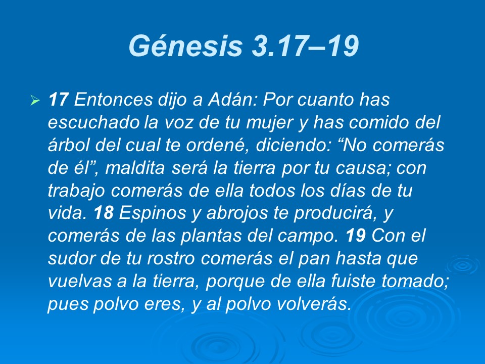 Slide17