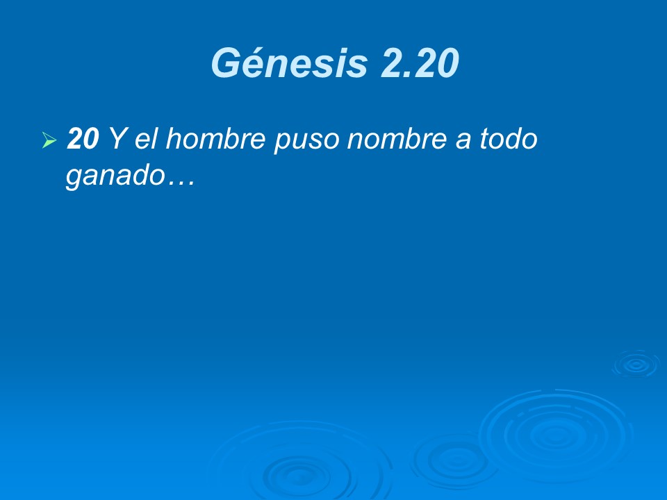 Slide8