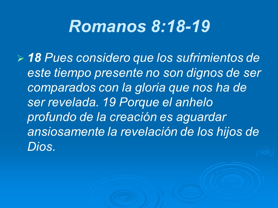 Slide21