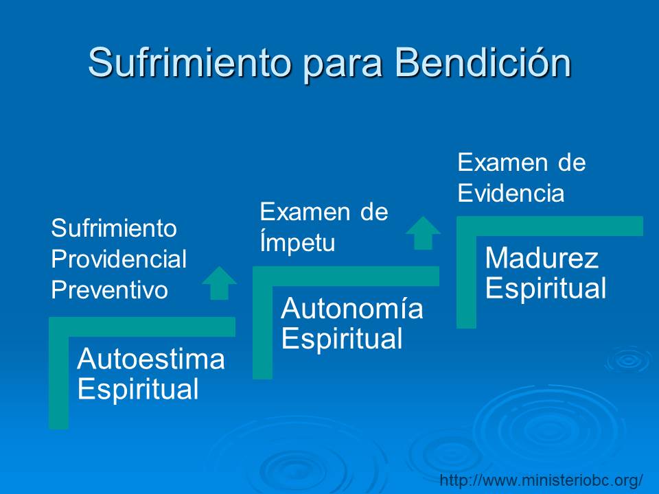 Diapositiva14