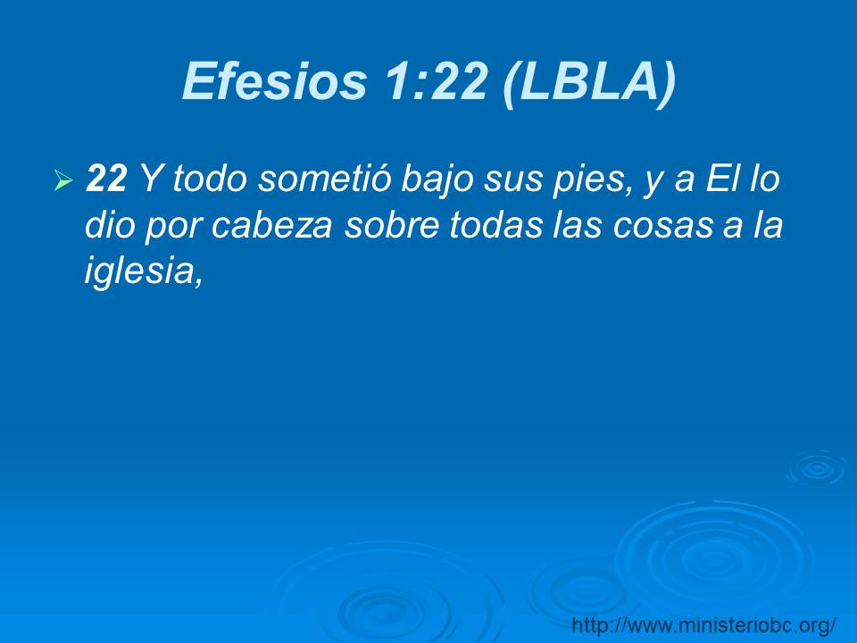 Diapositiva16