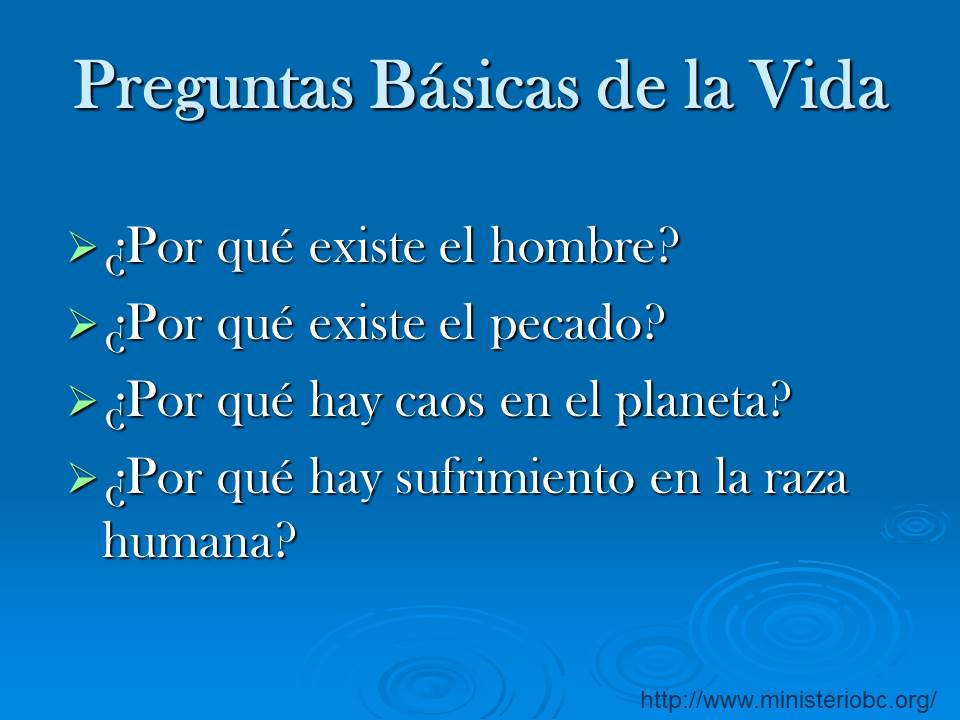Diapositiva8